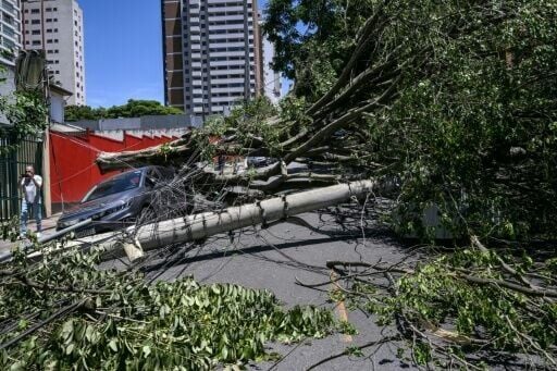 Sao Paulo was battered by winds of more than 90 kilometers per hour (55 miles per hour)