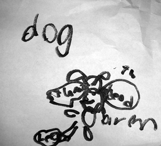 Savannah Swain blind drawing of a dog.jpg