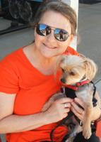 Pet spot – Patty, a smart, gentle Morkie, is a good friend to owner