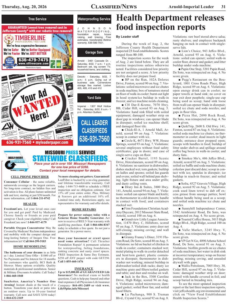 Page 31
