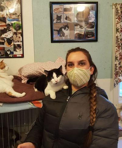 The Cat Palace