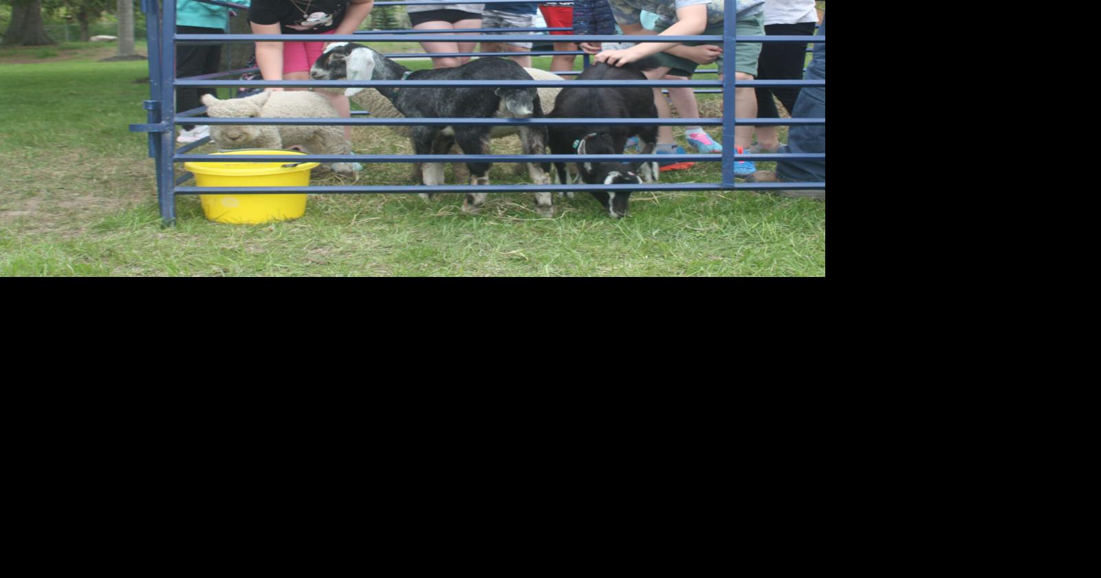 Malone Central hosts dairy days Top Stories