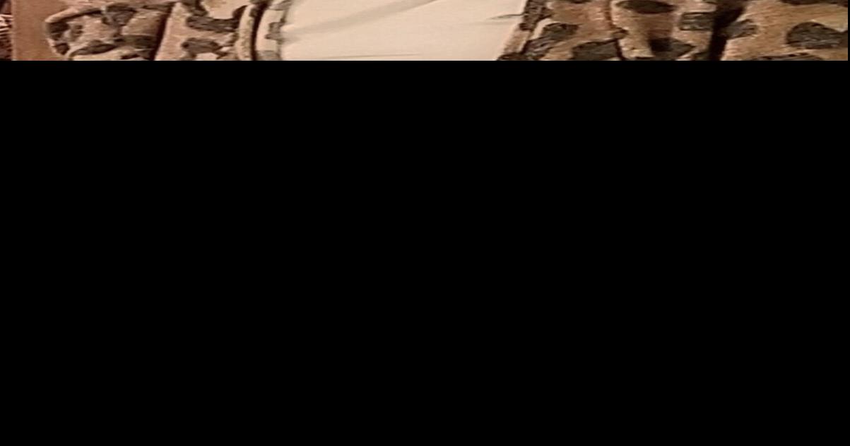 Dania Michelle Decosse Obituaries