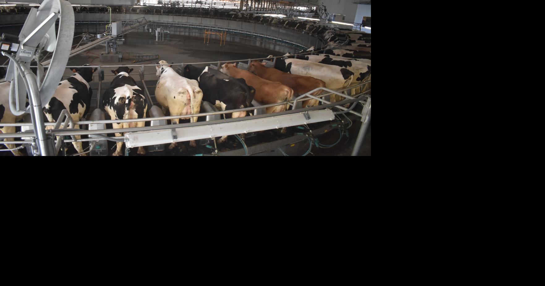 Malone farm to get 500,000 for energy efficient upgrade Top Stories