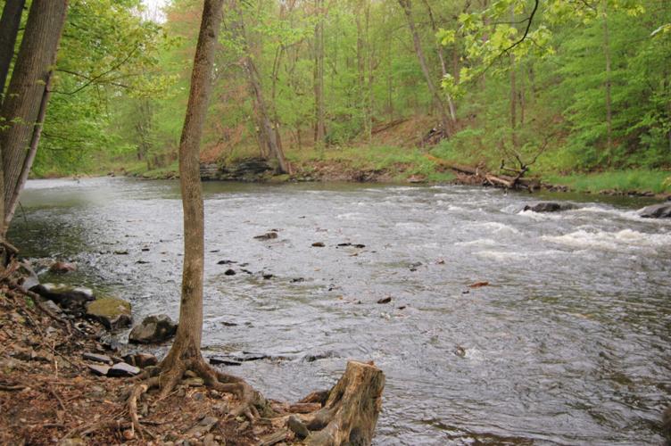 Town board tours Salmon River to address flooding issues; DEC a noshow
