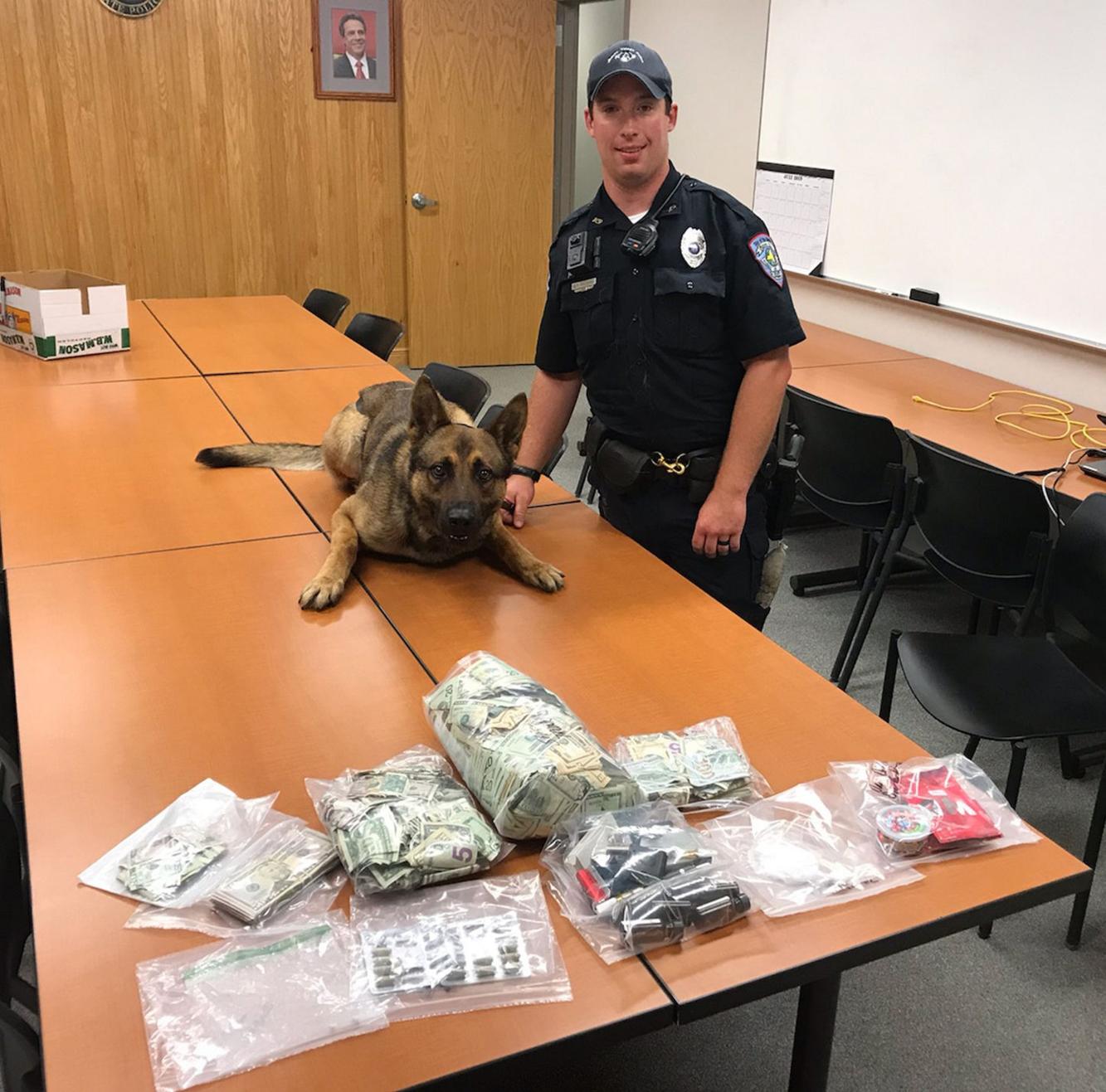 Malone K9 officer McKee aids state police, forest rangers with drug