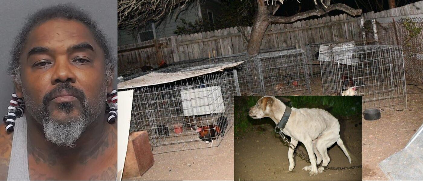 Texas man arrested for animal cruelty and cockfighting | South Texas ...