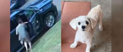 Laredo police seek public's help in identifying suspects in K-9 theft ...