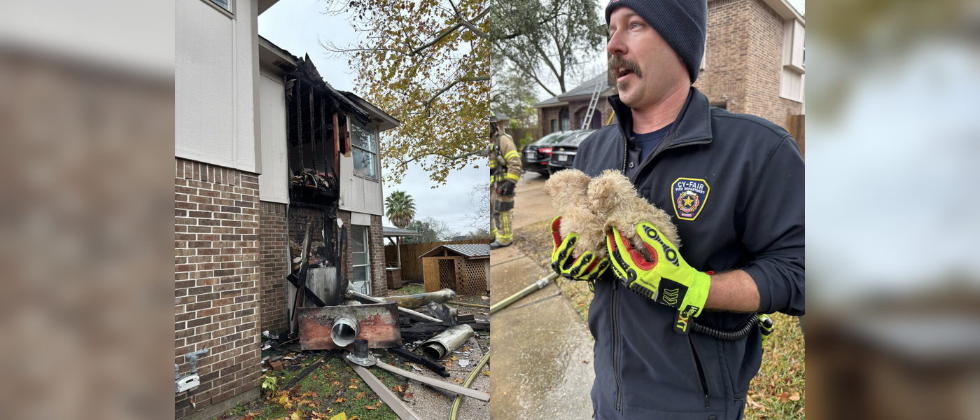 Cy-Fair firefighters rescue puppies from house fire | Upper Gulf Coast ...