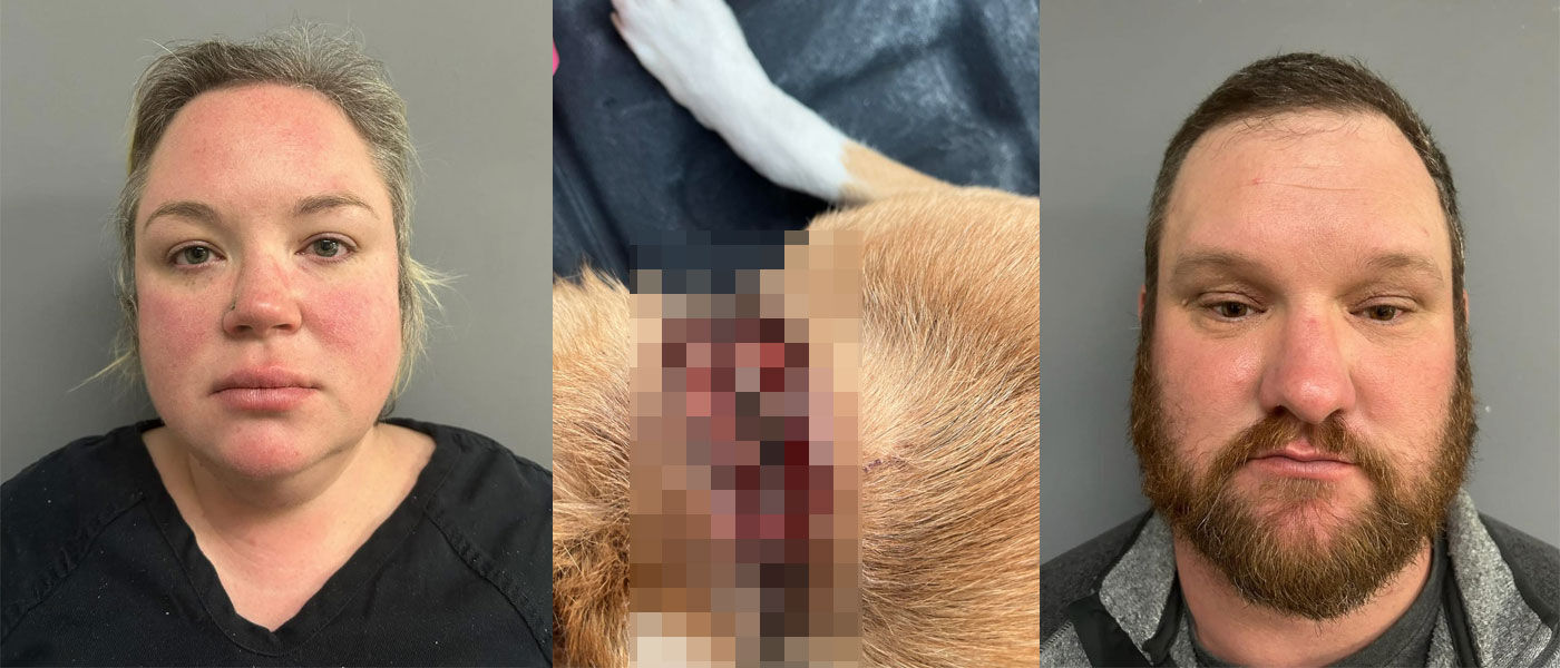 GRAPHIC: Couple arrested for animal cruelty in Trinity County | North ...