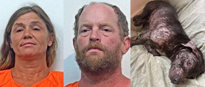 Shelby County couple arrested for animal cruelty at city-operated ...