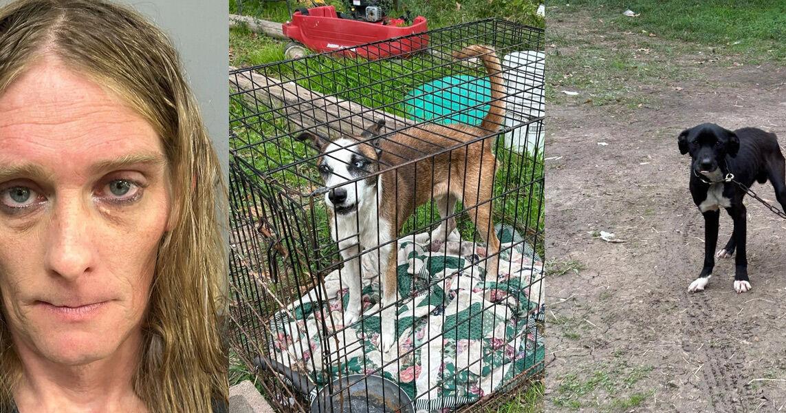 Trinity County man arrested for animal cruelty and resisting arrest ...