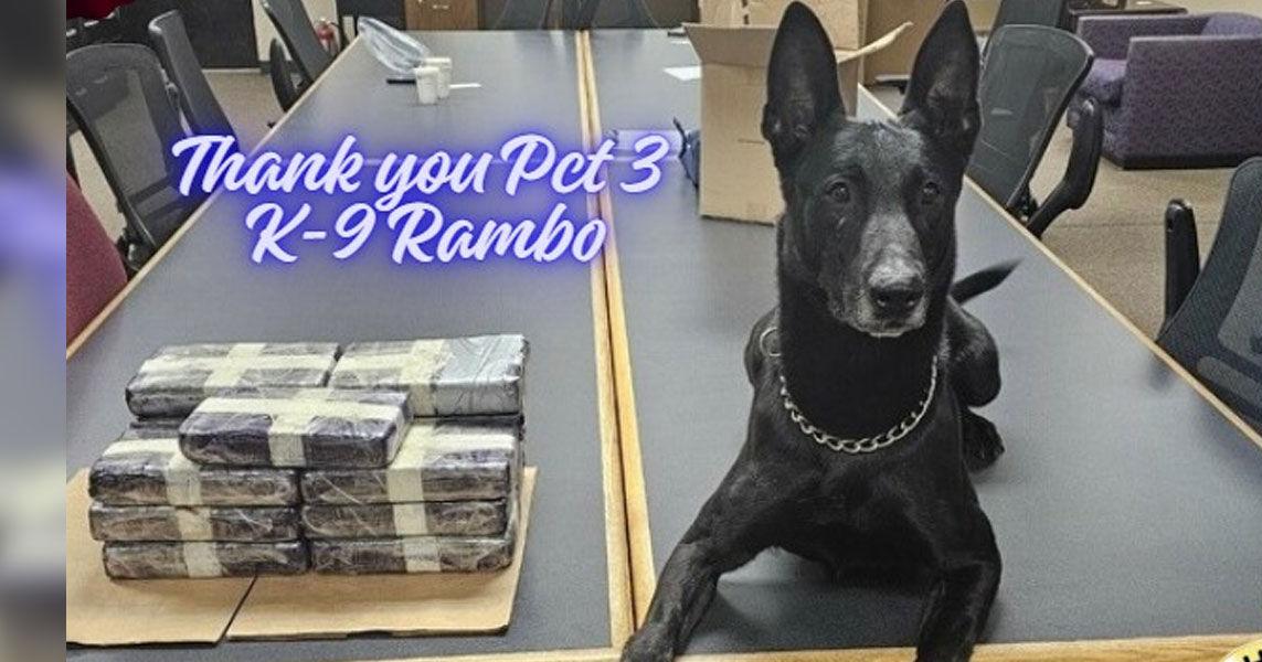 Montgomery County deputies seize 33 pounds of cocaine during traffic ...