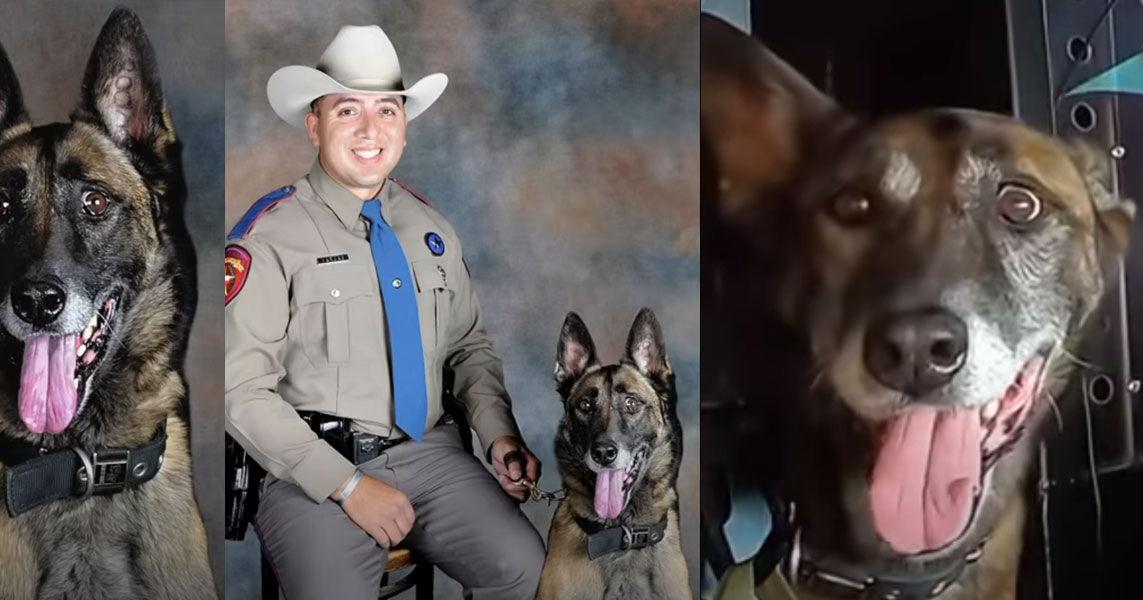Texas DPS K-9 Vito retires after years of service