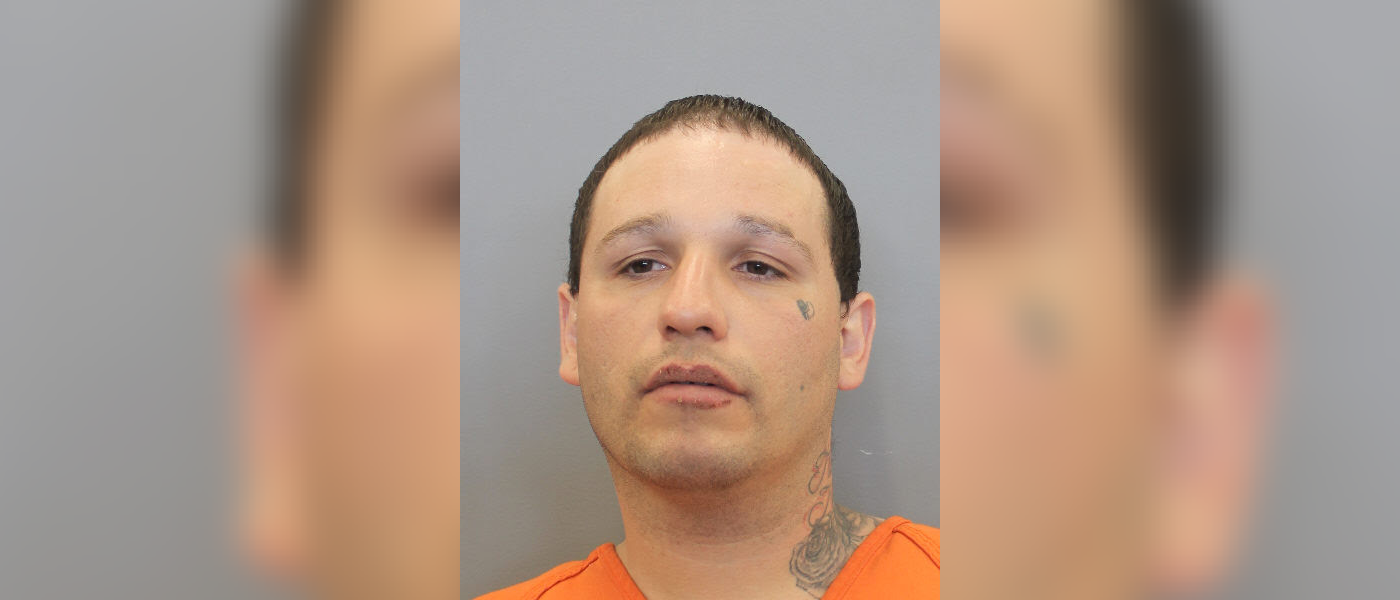 Man charged with stabbing mother and burglary in Houston family ...