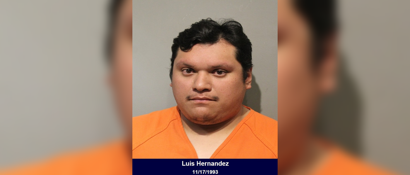 Suspected drunk driver arrested after brief pursuit in Harris County ...