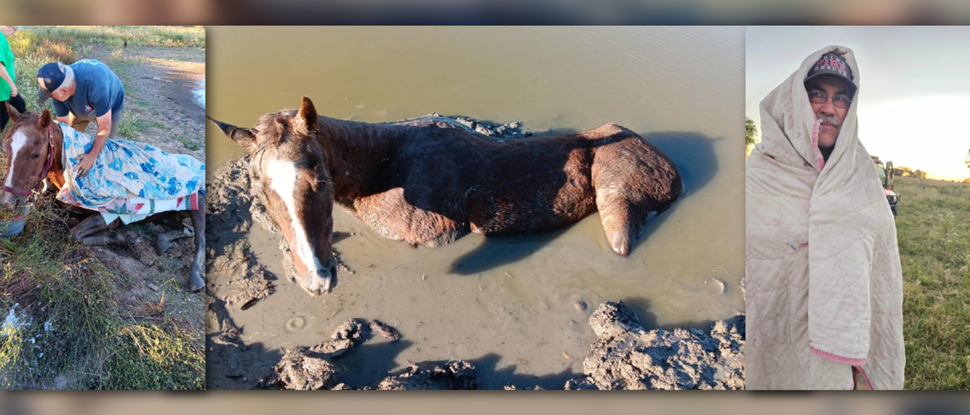 Firefighters rescue trapped mare from mud in North Texas with