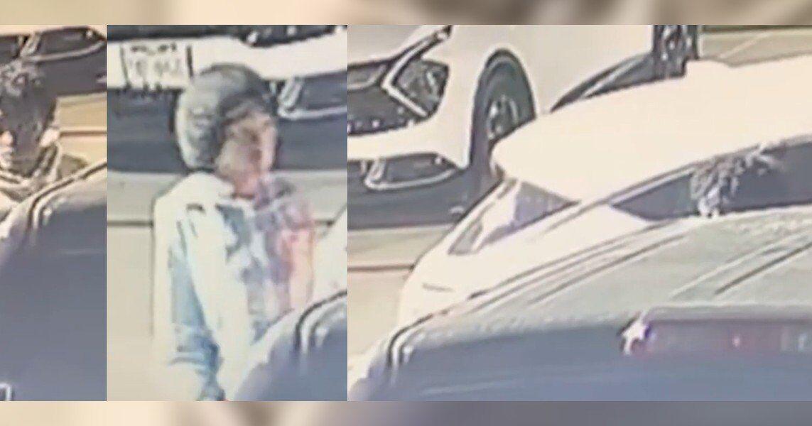 Austin police seek publics help in identifying suspects in catalytic ...