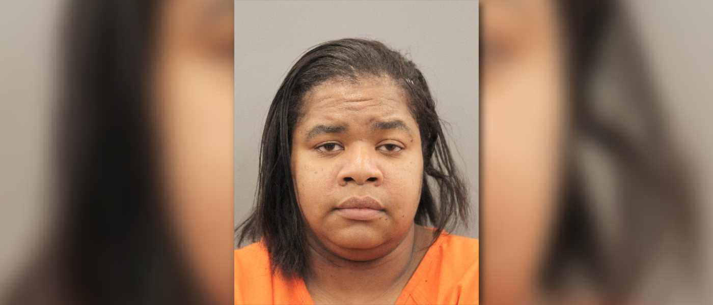 Houston woman charged in early morning shooting at Bissonnet Street ...