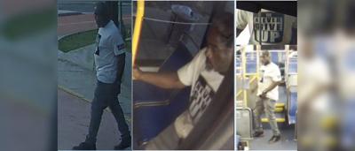 Austin police seek publics help in identifying vehicle theft suspect ...
