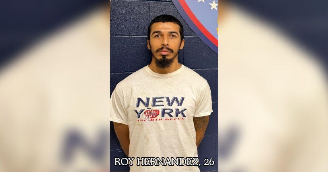 Bacliff man arrested for animal cruelty after deputies intervene in dog ...