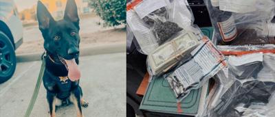K9 Monza helps recover stolen handgun during traffic stop | Upper ...