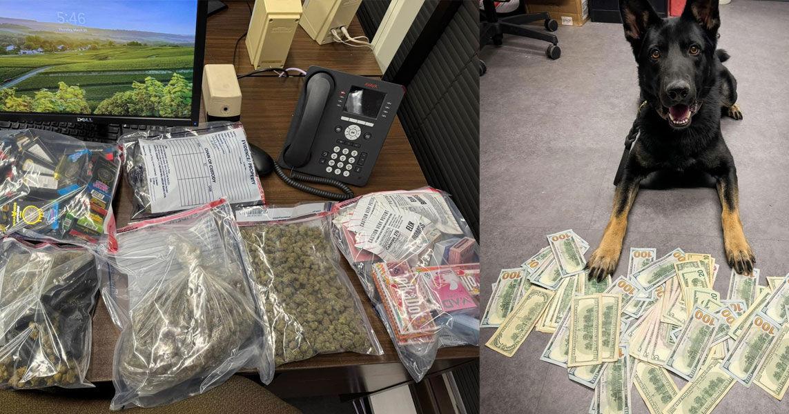 Two charged with evading arrest and marijuana possession in Houston ...