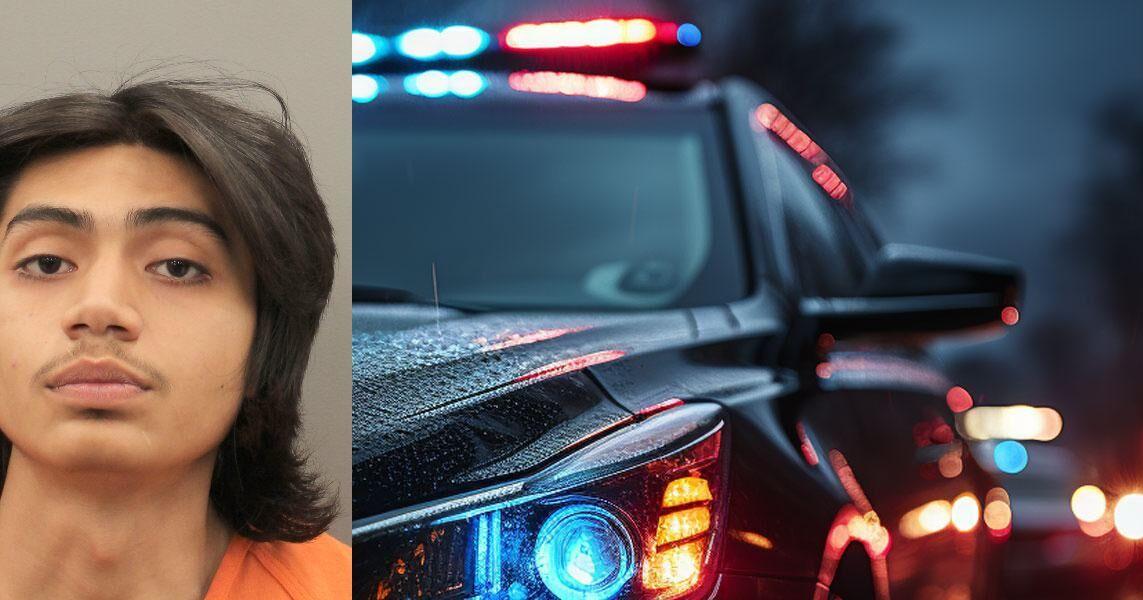 Houston teen charged in fatal stabbing of brother | Upper Gulf Coast ...
