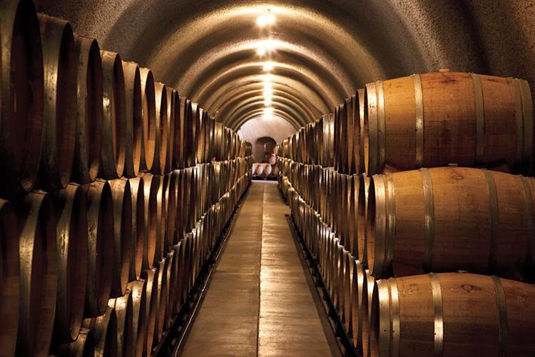 The 700-year-old wine cellar beneath Cantina Foresi. - Picture of