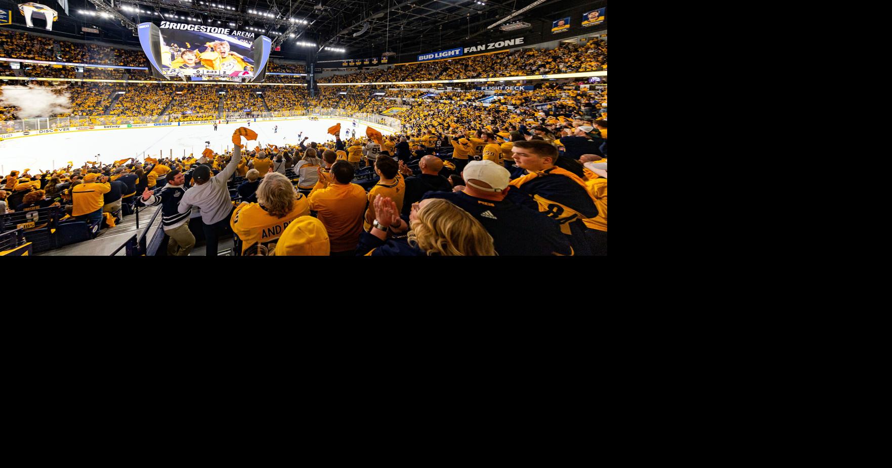 2022 NHL Stadium Series Panoramic Picture - Nashville Predators