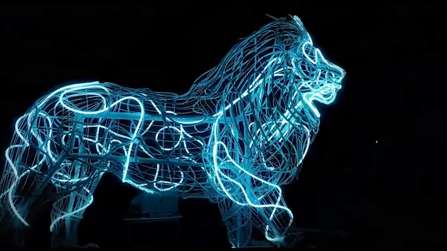 glow-wild_55516019588_o.png