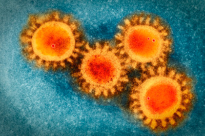 More contagious COVID strain identified in Tennessee