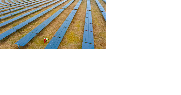 Of Note: Silicon Ranch, VU launch solar facility - Vimarsana News