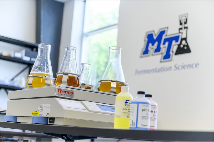 MTSU, Georgia brewery offer scholarship