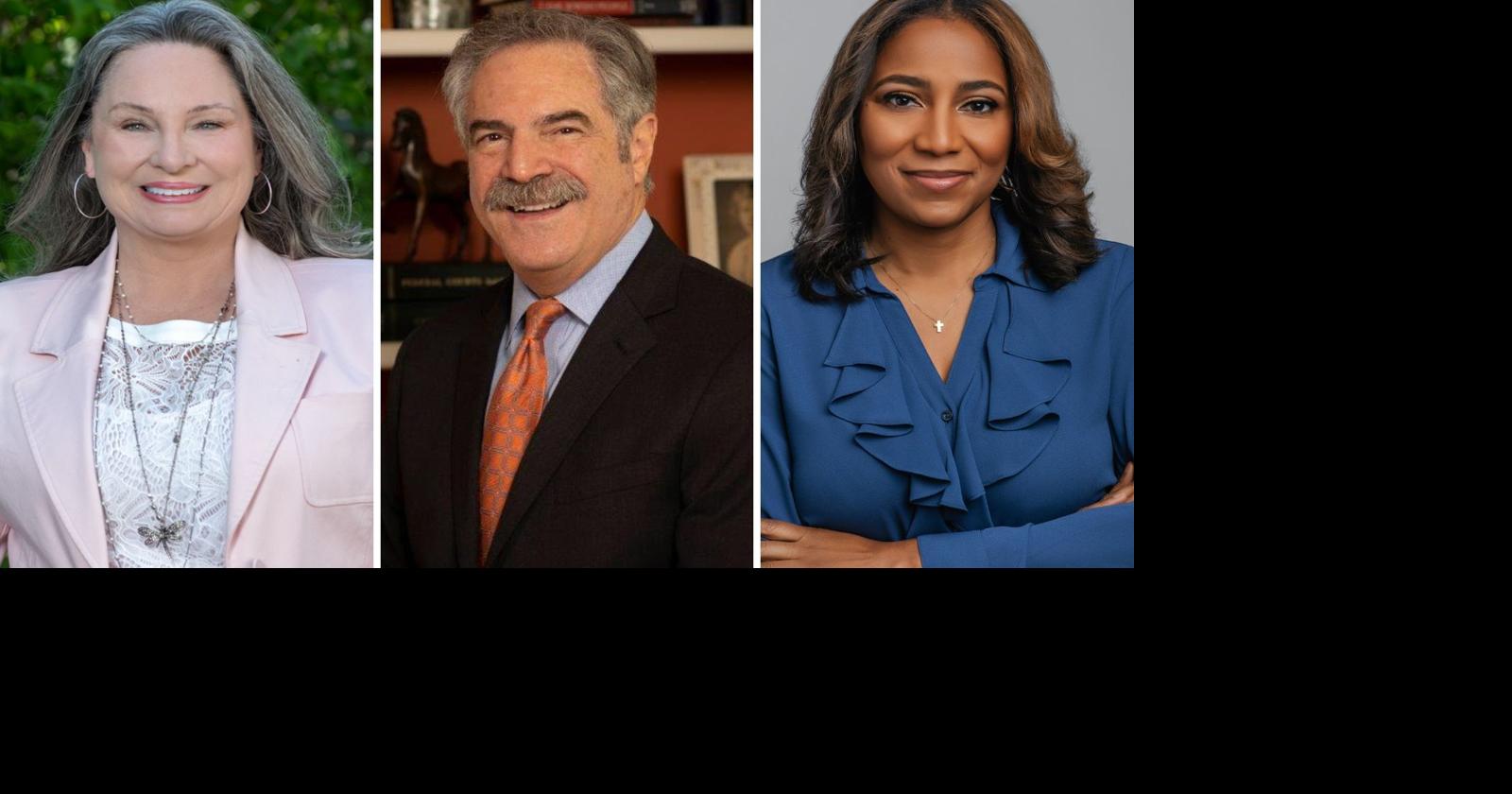 Four candidates running for Davidson County family court seat Courts