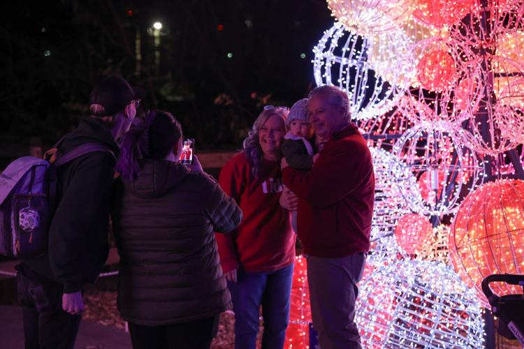 glow-wild_55514808487_o.jpg