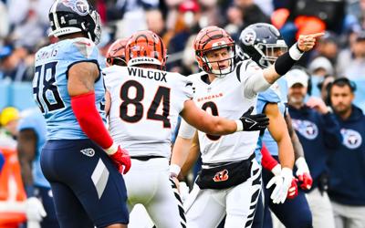 Bengals.jpg