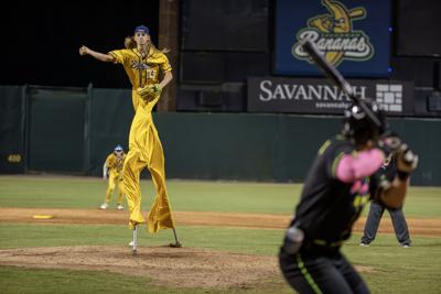 Savannah Bananas