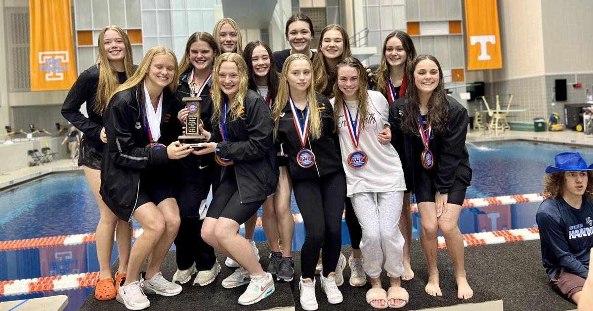 Local swimmers win several titles at TISCA state meet Preps