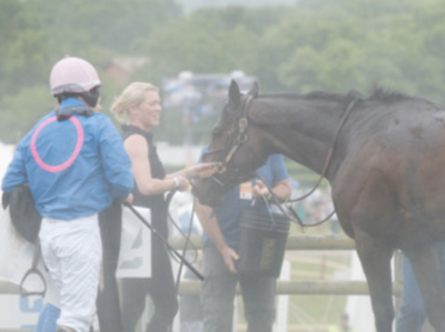 Steeplechase canceled