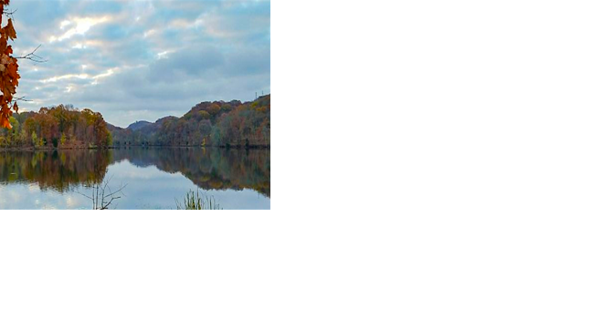 State pays $4.3M for Radnor Lake-area site - Vimarsana News