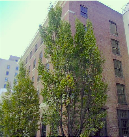 Ex-YWCA building slated for hotel
