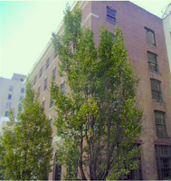 Ex-YWCA building slated for hotel