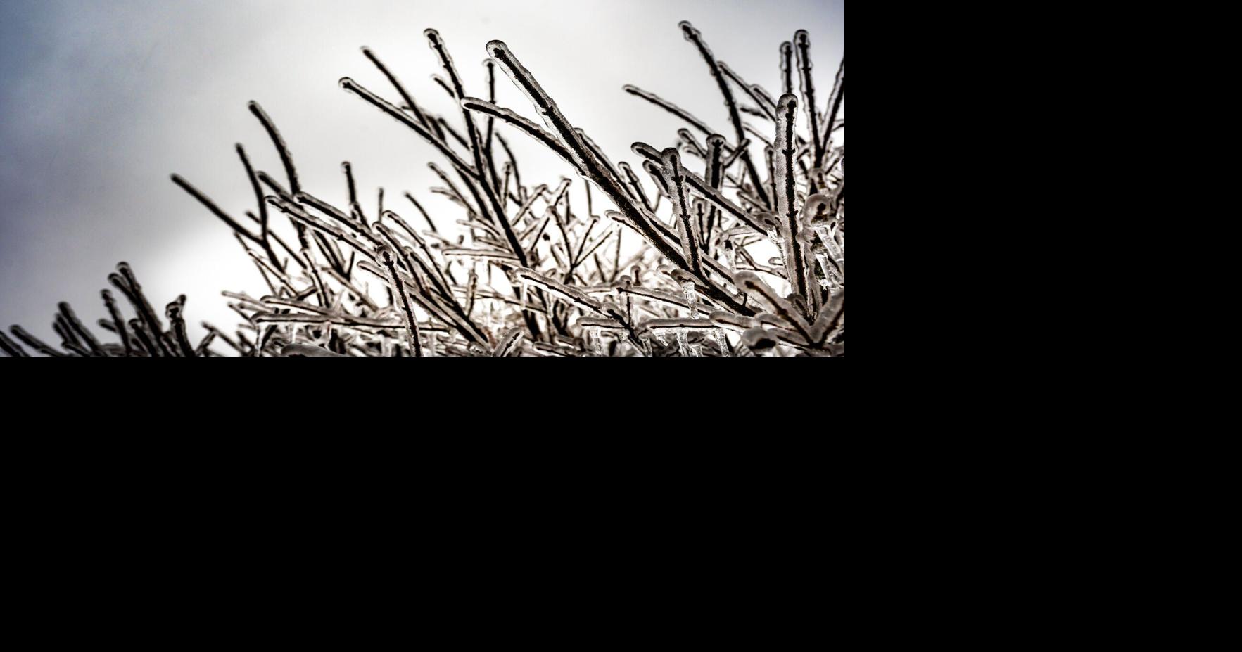 Nashville emergency team claims ice storm is a 'multi-day' event