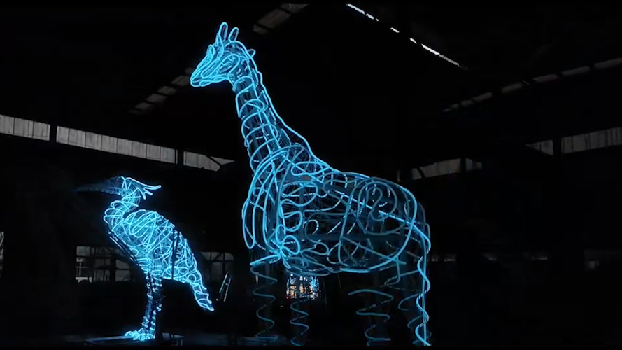 glow-wild_55516296005_o.png