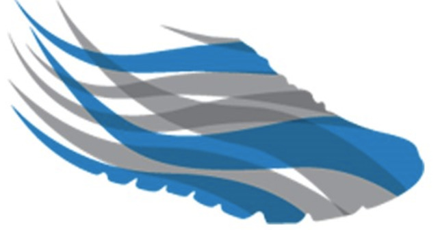 Bluecross blueshield silver sneakers discount