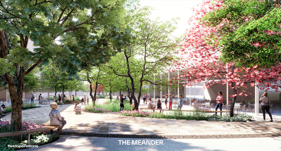 The Meander.png