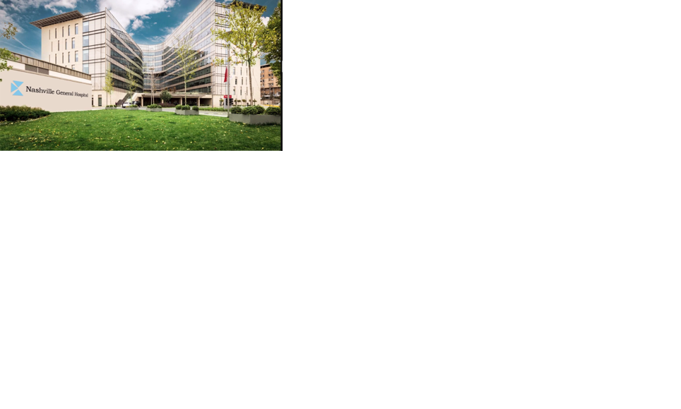 NGH rendering