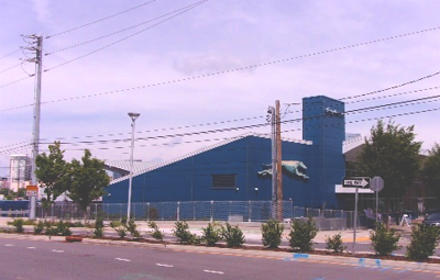 Greyhound