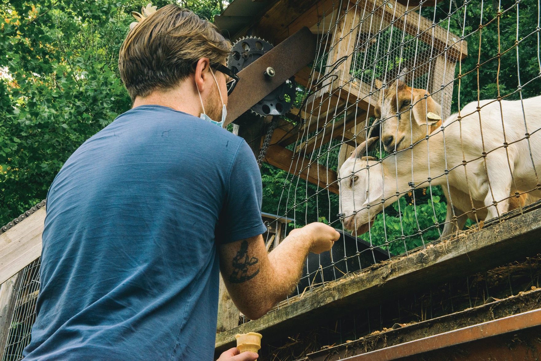 The Road Trip Issue 2020: Red River Gorge, Kentucky